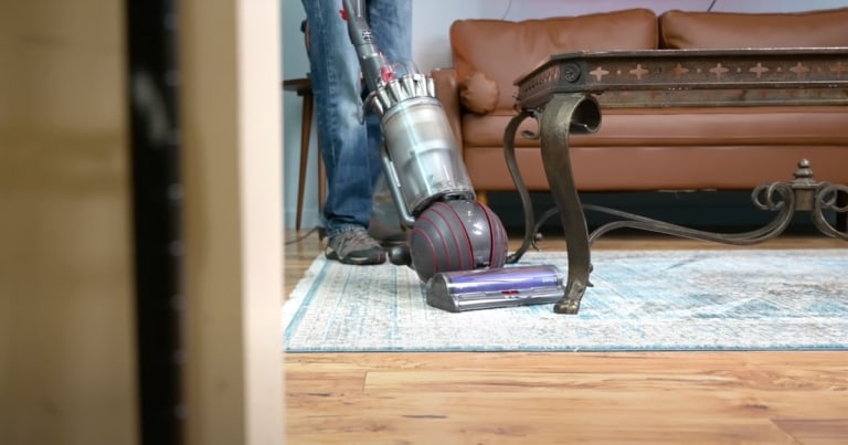 Dyson Ball Animal 3 Review | Vacuum Wars