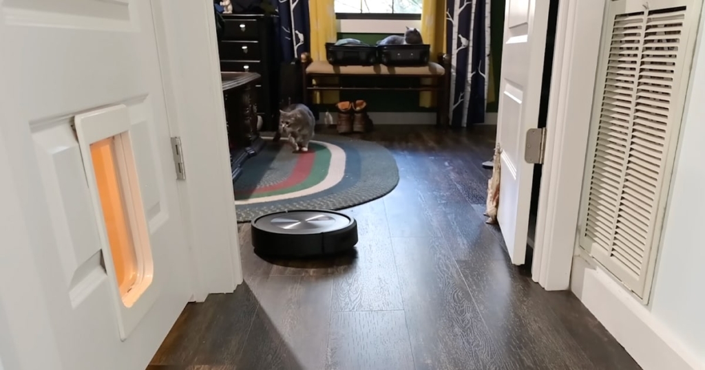 iRobot Roomba j7 plus Review - Real World Testing