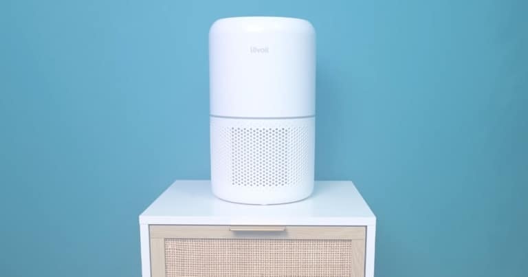 Levoit Core 300 vs 300S – How to Choose Between these Air Purifiers ...