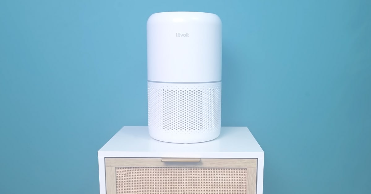 Levoit Core 300 vs 300S – How to Choose Between these Air Purifiers ...