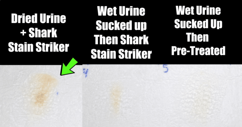 Vacuum Wars coyote urine stain test comparing cleaning methods using the Shark Stain Striker HairPro: dried urine cleaned as directed, wet urine suctioned before cleaning, and wet urine suctioned then pre-treated, showing progressively better stain removal results.