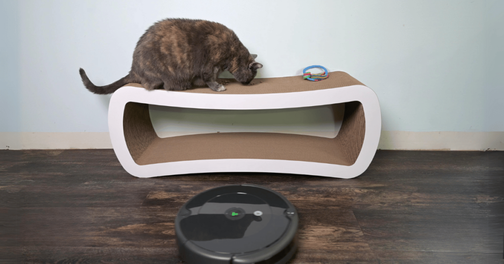 Robot Vacuum Cleaner Riding by Pet Cat