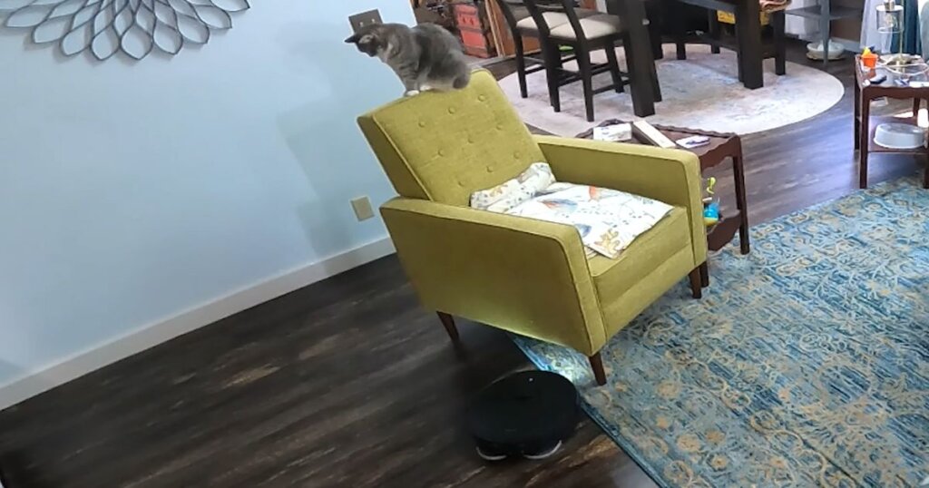 A robot vacuum is navigating under a chair in a dimly lit room while a cat watches from above.