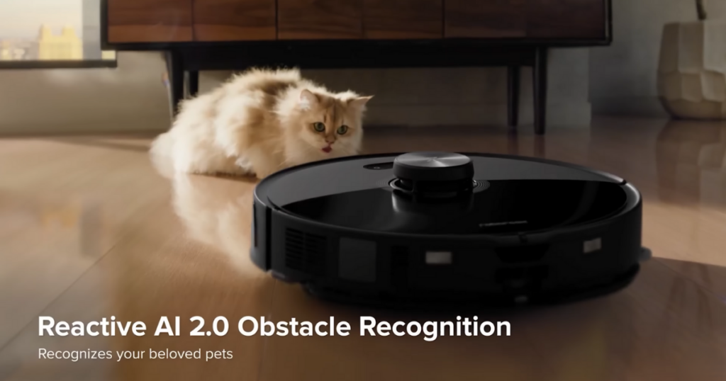 A Roborock robot vacuum cleaning a hardwood floor with a fluffy cat curiously observing it. 