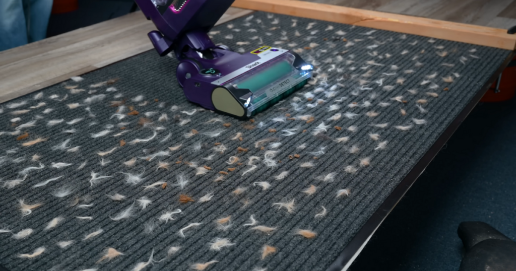 The Shark PowerDetect vacuum is shown in action on a carpet heavily covered with pet hair and debris. The vacuum's DuoClean roller system and LED lights are visible, effectively picking up the mess.