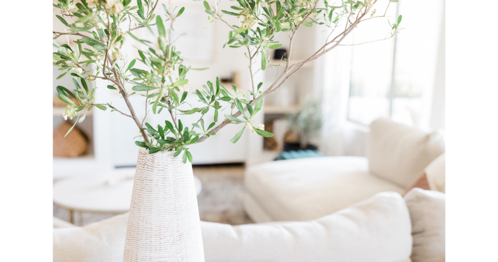 a bright, clean room with a  green plant up close.