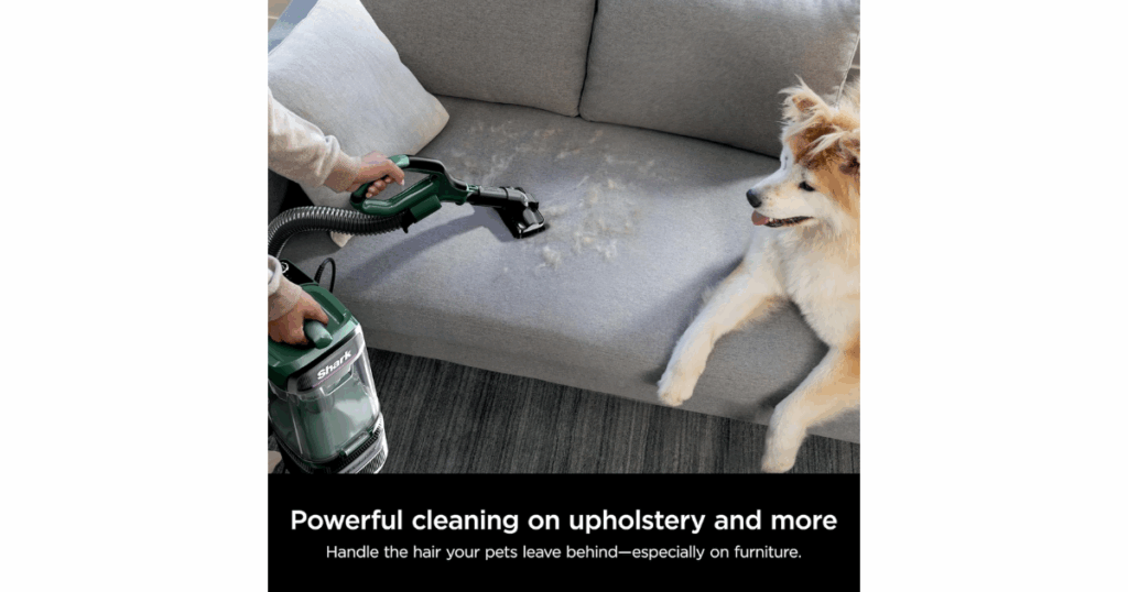 Shark Detect Pro Lift-Away ADV Above Floor Cleaning on a Sofa with a pet watching.