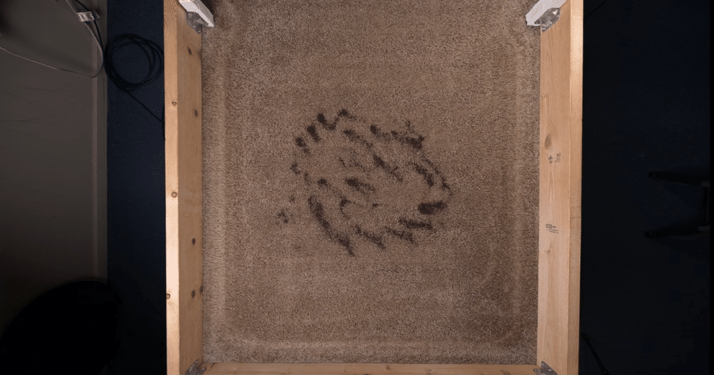 Ecovacs T90 Pro Omni Carpet Vacuuming 1 | Vacuum Wars Carpet with coffee grounds spread across the center prepared for Vacuum Wars testing