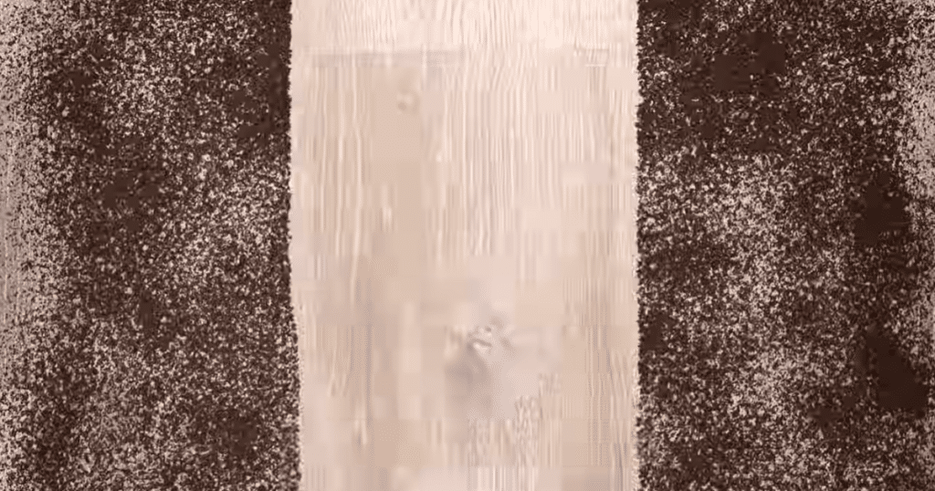 Levoit LVAC 200 Cordless Vacuum Hard Floor 2 | Vacuum Wars Levoit LVAC 200 cordless vacuum successfully vacuuming fine debris on a hard floor