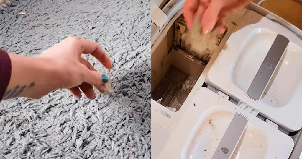 Roborock CurvX dustbin issues | Vacuum Wars Pet hair clogging inside the Roborock Qrevo CurvX dock and auto-empty channel during long-term testing in a shedding dog household