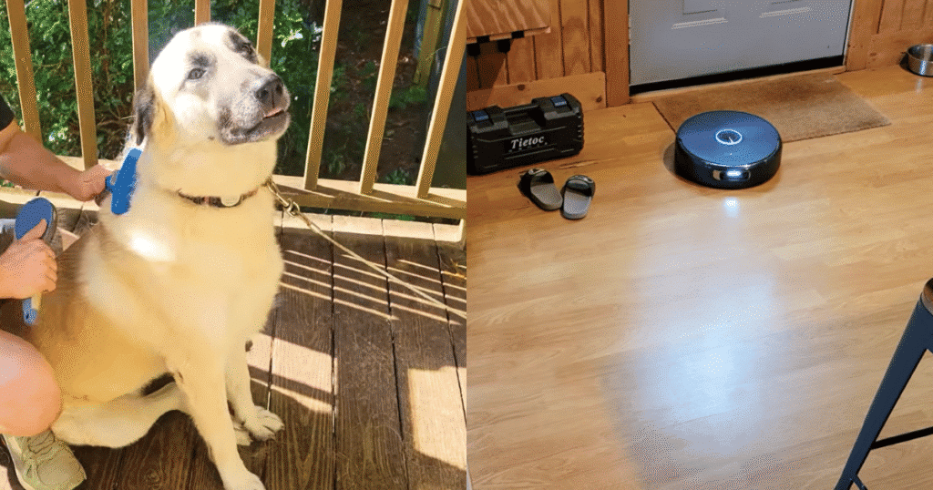 Narwal Flow 2 Home use case | Vacuum Wars German Shepherd mix being brushed beside a Narwal Flow 2 robot vacuum navigating around shoes on a hard floor, highlighting pet hair pickup and obstacle avoidance.