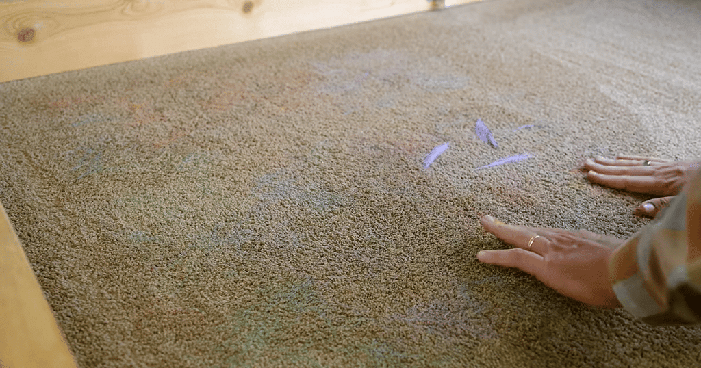 Robot buyer guide pet hair | Vacuum Wars Pet hair embedded in carpet during a Vacuum Wars robot vacuum pet-hair pickup test.